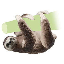 アニア AS-26 ナマケモノ(ノドチャミユビナマケモノ)