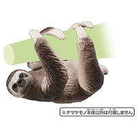 アニア AS-26 ナマケモノ(ノドチャミユビナマケモノ)