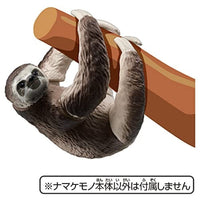 アニア AS-26 ナマケモノ(ノドチャミユビナマケモノ)