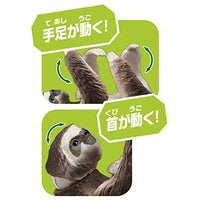 アニア AS-26 ナマケモノ(ノドチャミユビナマケモノ)