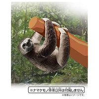 アニア AS-26 ナマケモノ(ノドチャミユビナマケモノ)