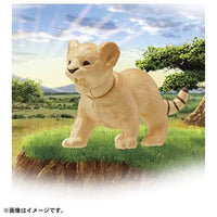 アニア AC-01 ライオン(子ども)