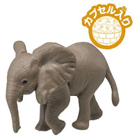 アニア AC-02 ゾウ(子ども)