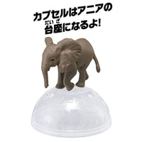 アニア AC-02 ゾウ(子ども)