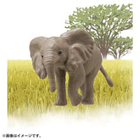 アニア AC-02 ゾウ(子ども)