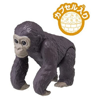 アニア AC-03 ゴリラ(子ども)