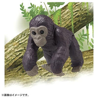 アニア AC-03 ゴリラ(子ども)