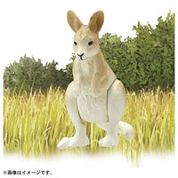 アニア AC-05 カンガルー(子ども)