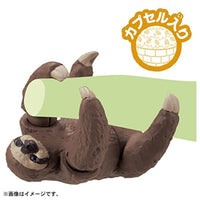アニア AC-06 ナマケモノ(子ども)