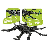 アニア AS-40 ギラファノコギリクワガタ