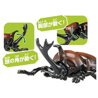 アニア AS-37 カブトムシ