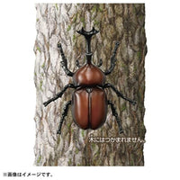 アニア AS-37 カブトムシ