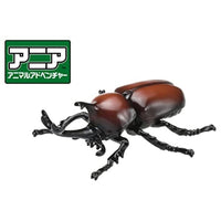 アニア AS-37 カブトムシ