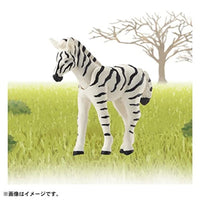 アニア AC-08 シマウマ(子ども)
