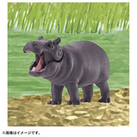 アニア AC-09 カバ(子ども)