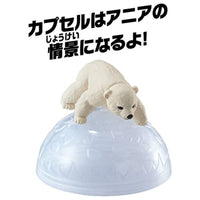 アニア AC-10 ホッキョクグマ(子ども)