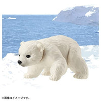 アニア AC-10 ホッキョクグマ(子ども)