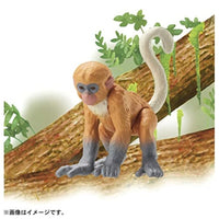 アニア AC-11 テングザル(子ども)