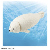 アニア AC-12 ゴマフアザラシ(子ども)