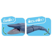 アニア AL-23 シロナガスクジラ(水に浮くVer.)