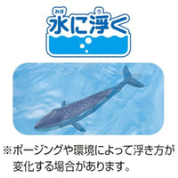 アニア AL-23 シロナガスクジラ(水に浮くVer.)