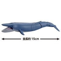 アニア AL-23 シロナガスクジラ(水に浮くVer.)