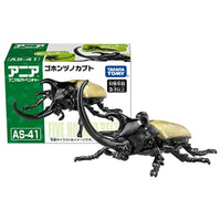 アニア AS-41 ゴホンヅノカブト