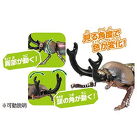アニア AS-42 ニジイロクワガタ