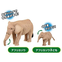 アニア どうぶつの親子 はてなカードセット