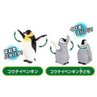 アニア どうぶつの親子 はてなカードセット