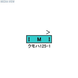 30399 JR125系小浜線 1両単品(動力付き)