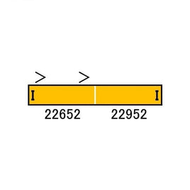 31535 近鉄22600系Ace(新塗装・阪神乗り入れ対応)増結2両編成セット(動力無し)