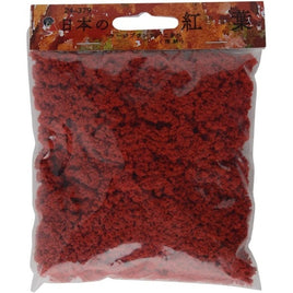 24-379 日本の紅葉 ラージプランツ こきひ(深緋)