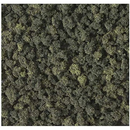 24-546 ラージプランツ フォレストブレンド