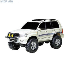 19021 ランドクルーザー100