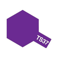 TS037 ラベンダー