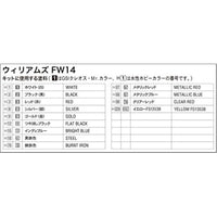 20346 1/24 ウイリアムズFW14