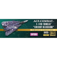 SP291 F-14D トムキャット エースコンバットさくら