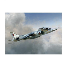 SWD72098S ソード 1/72 ハリアー T.Mk.2/2A/4/4N